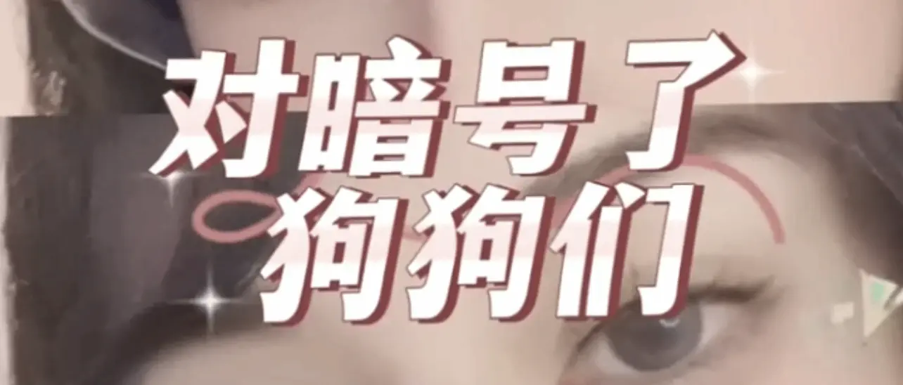 【西檬之家】k8猫系是什么？字母圈新人入门权威指南
