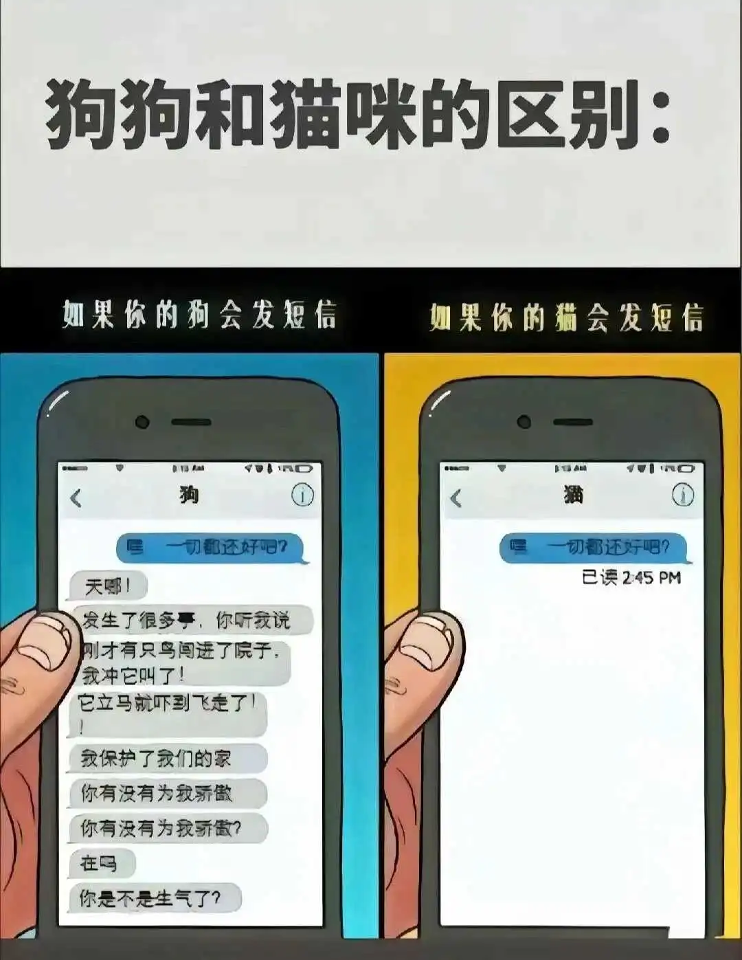 【西檬之家】字母圈新人入圈指南—基础术语解读