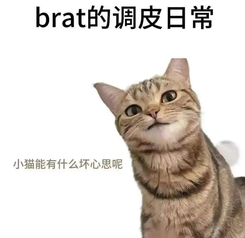 西檬之家-字母圈新人入圈指南：从零开始的BDSM探索