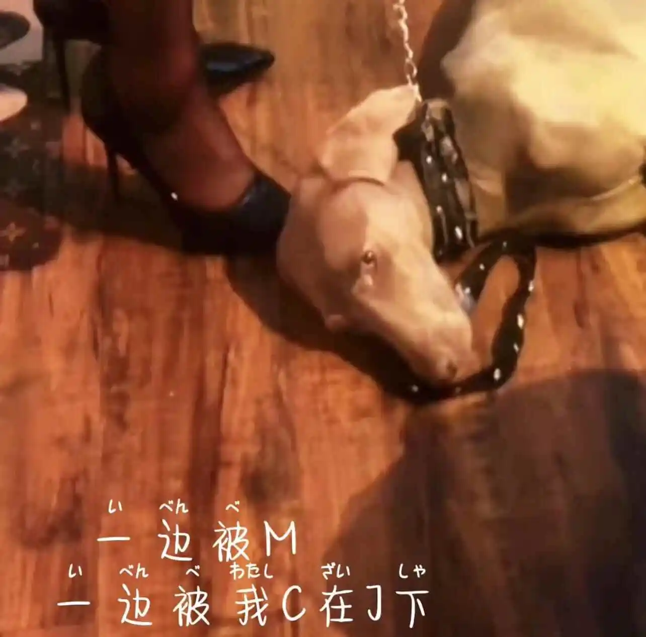 西檬之家-Brat属性是什么？在字母圈中的意义与实践