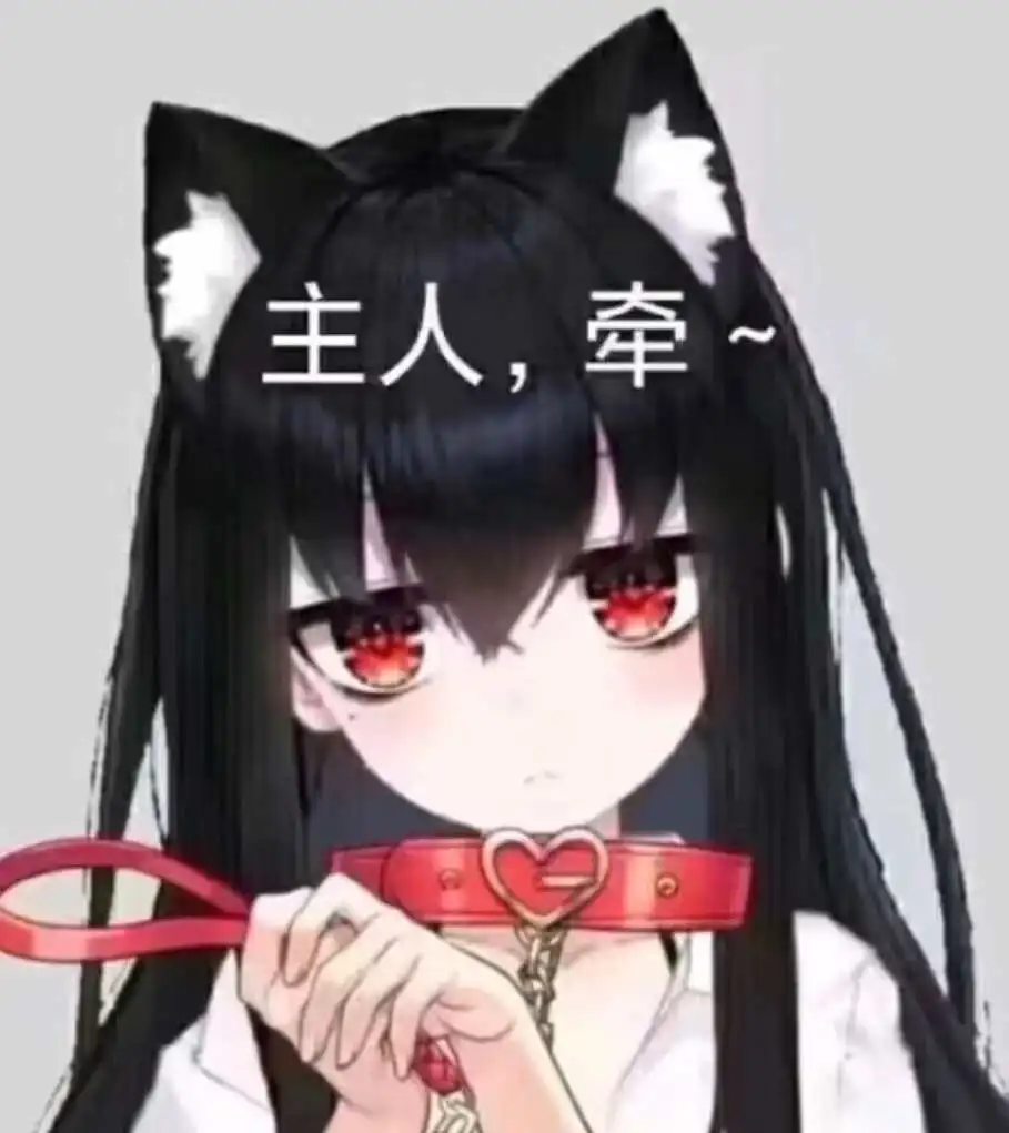 西檬之家-字母圈DDlg是什么？你的字母圈属性是什么？