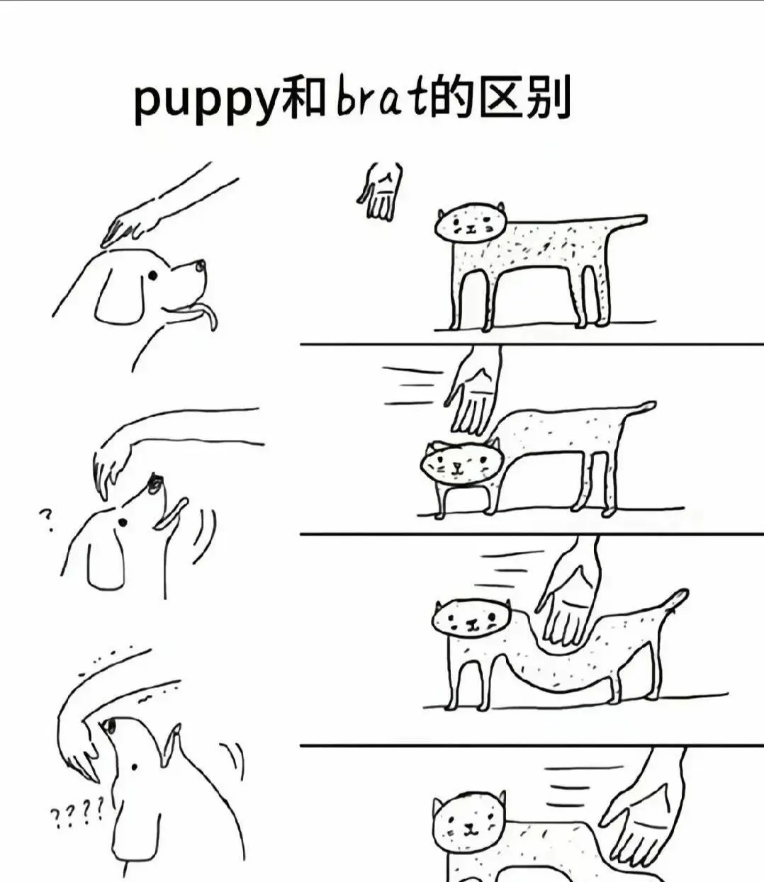 西檬之家-字母圈新手入门指南：全面解析K8是什么